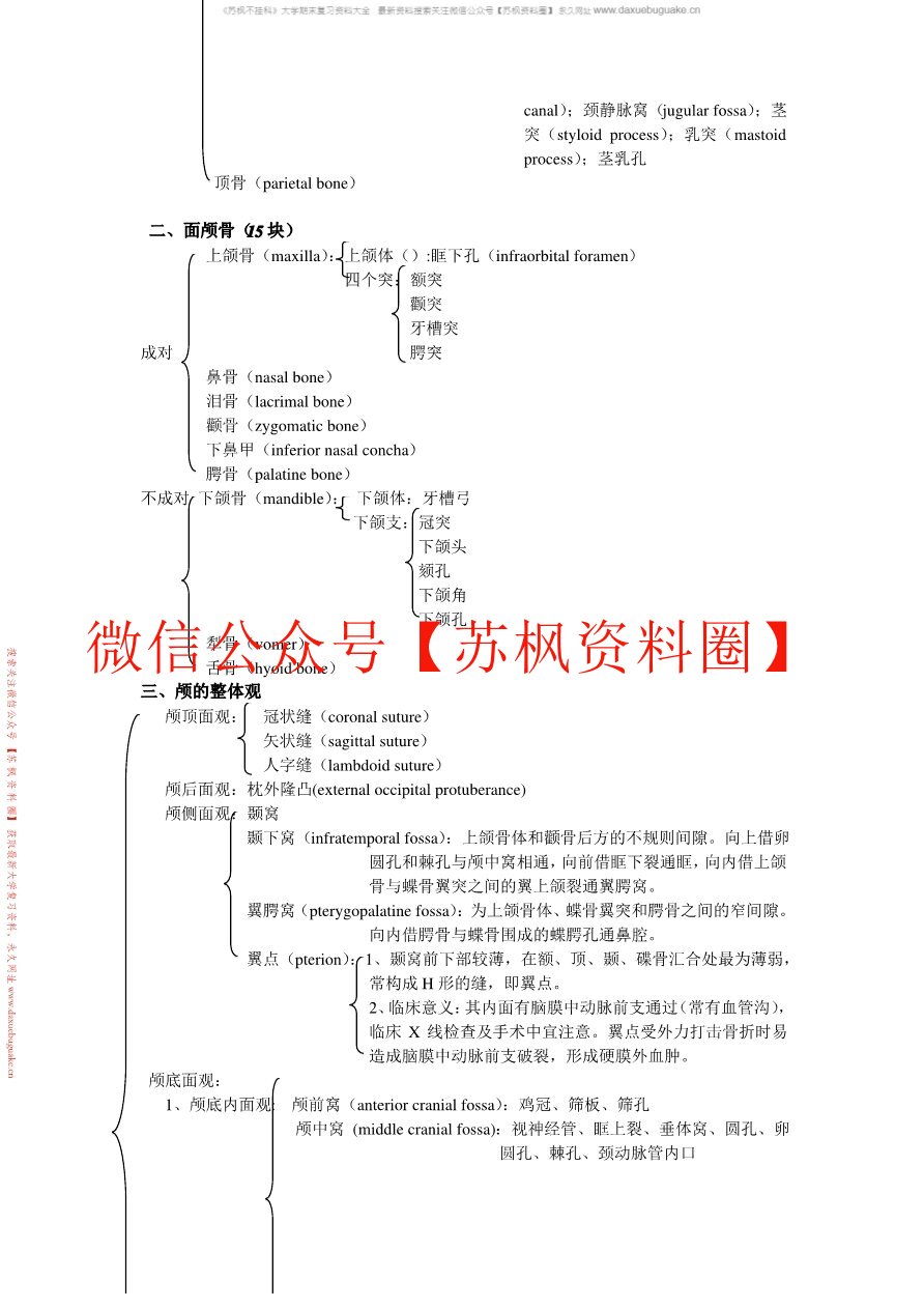 人体形态学